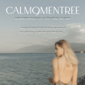 calmomentree , amayzl