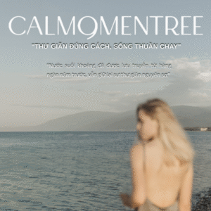 Calmomentree(Amayzl)