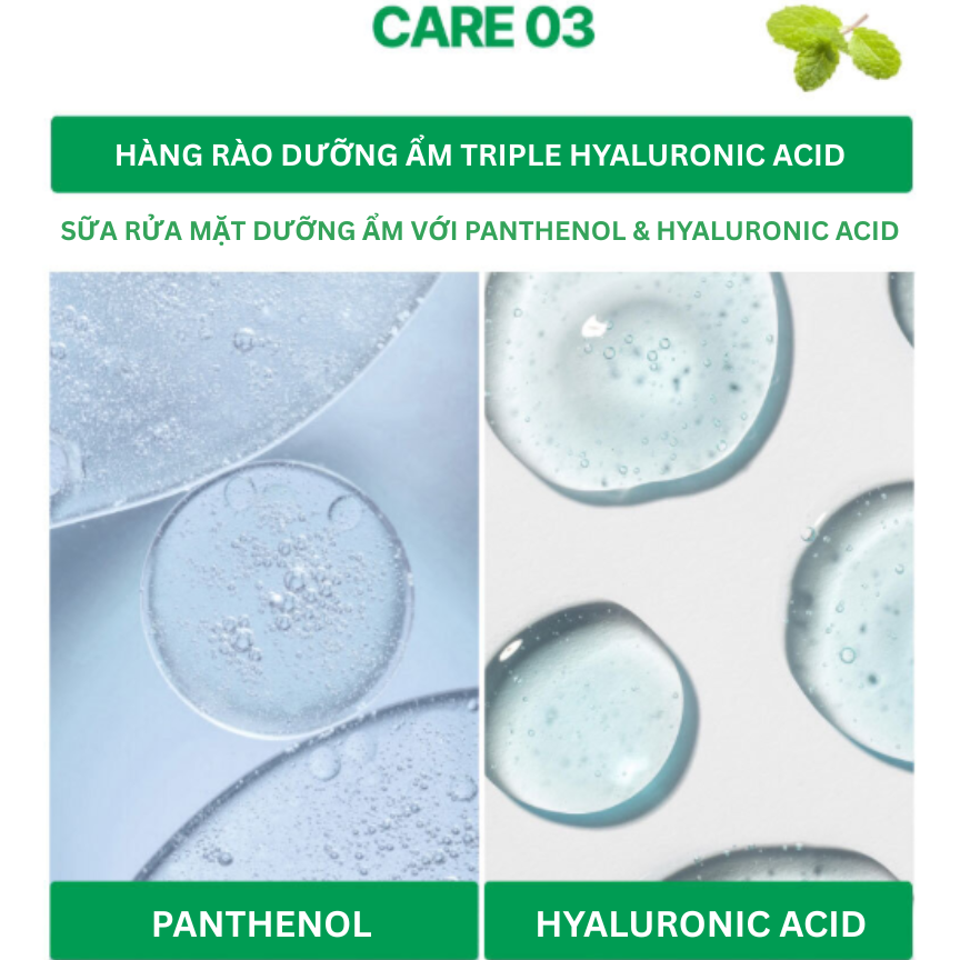 TONER CÂN BẰNG ĐỘ ẨM AMAYZL PHYTO PH BALANCE