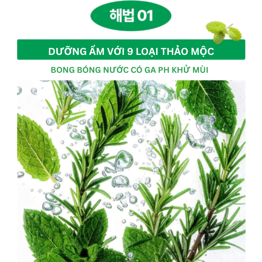 TONER CÂN BẰNG ĐỘ ẨM AMAYZL PHYTO PH BALANCE