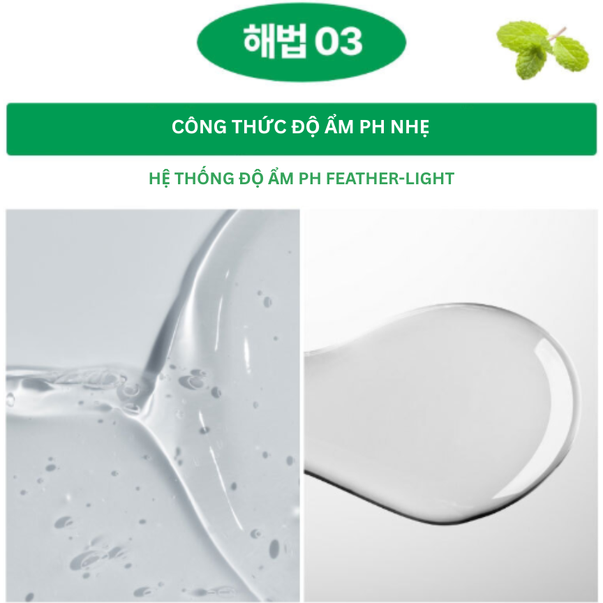 TONER CÂN BẰNG ĐỘ ẨM AMAYZL PHYTO PH BALANCE