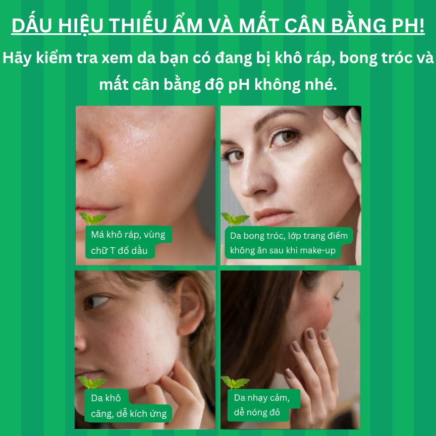 TONER CÂN BẰNG ĐỘ ẨM AMAYZL PHYTO PH BALANCE