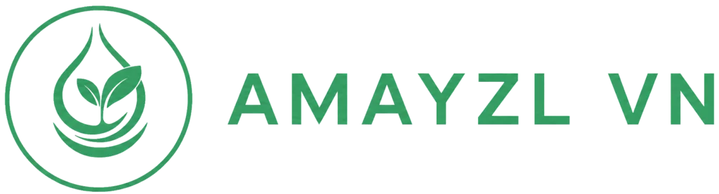 Amayzl Việt Nam
